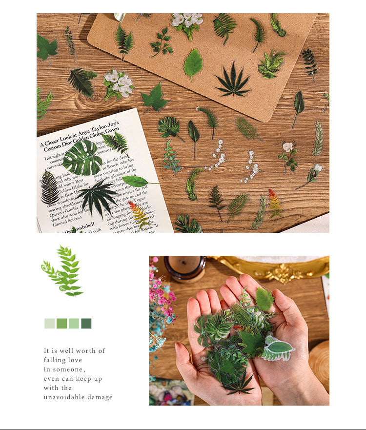 Natural Story Series Sticker Set