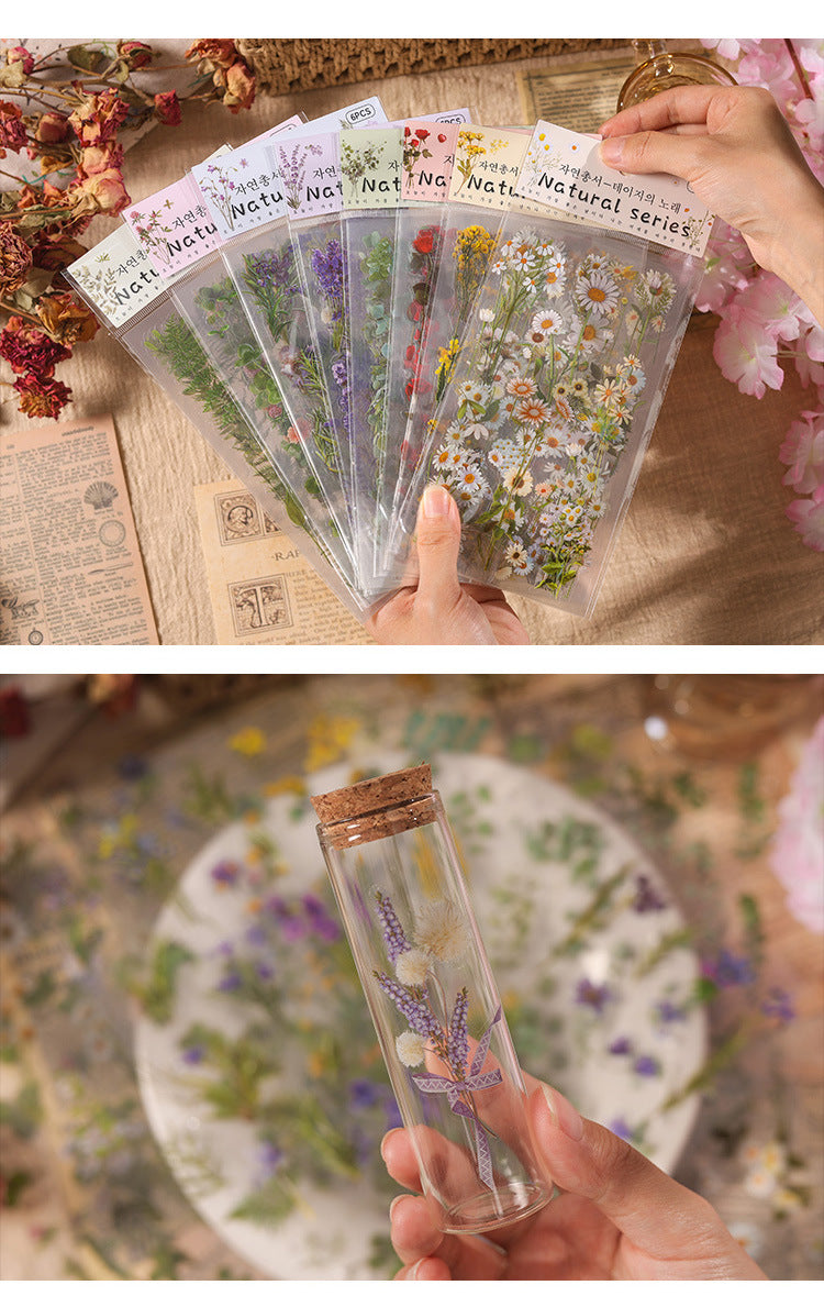 Natural Books PET Sticker Set