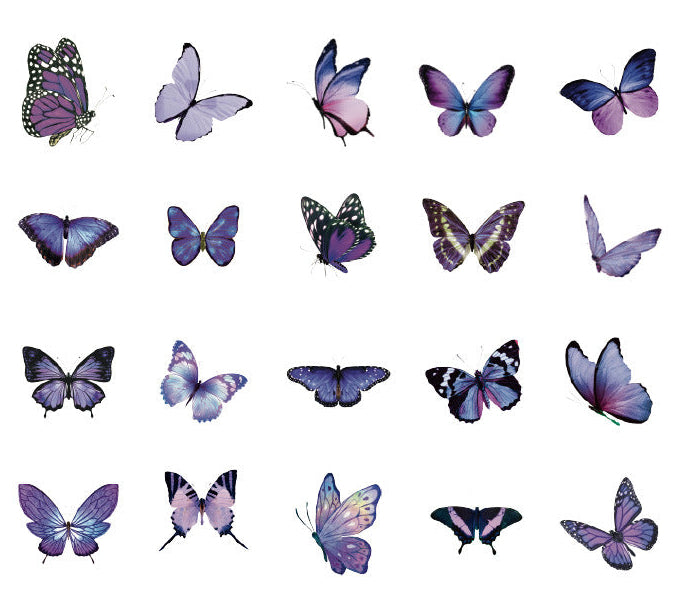 Natural Museum PET Sticker Set