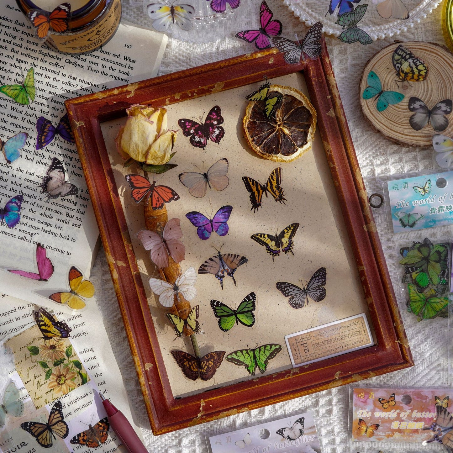 The World of Butterfly PET Sticker Set