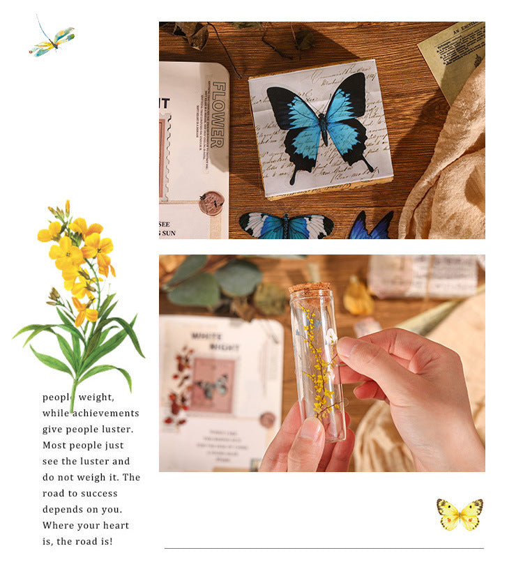 Natural Museum PET Sticker Set