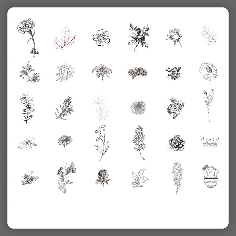 Natural Story Series Sticker Set