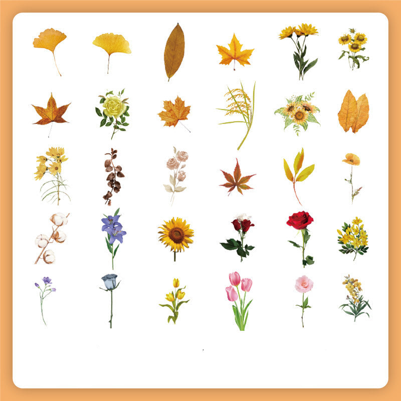 Natural Story Series Sticker Set