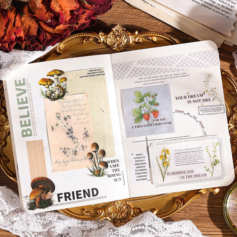 Natural Story Series Sticker Set