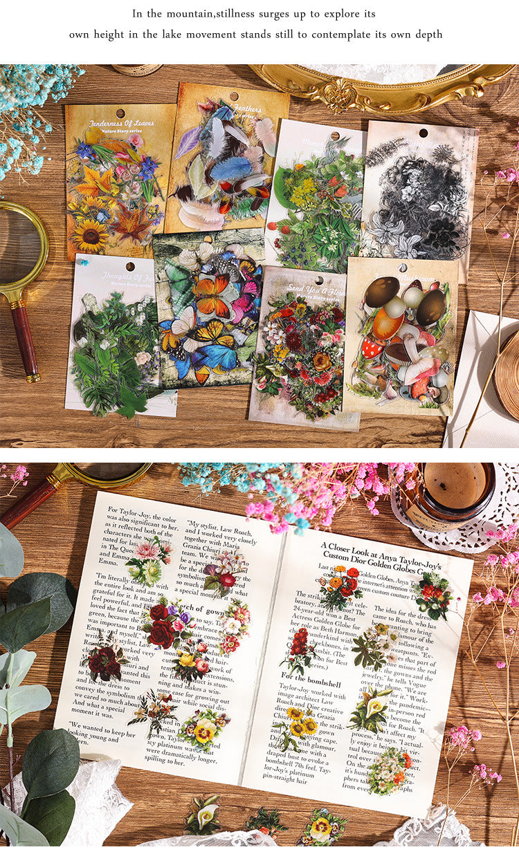 Natural Story Series Sticker Set