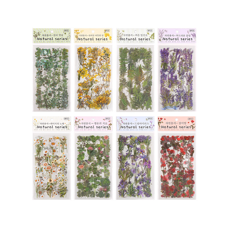 Natural Books PET Sticker Set