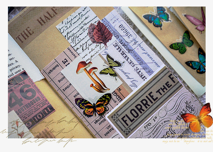 The World of Butterfly PET Sticker Set