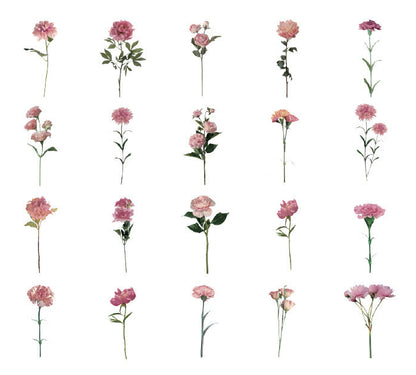 Natural Museum PET Stickers Set