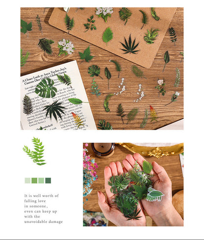 Natural Story Series Stickers Set