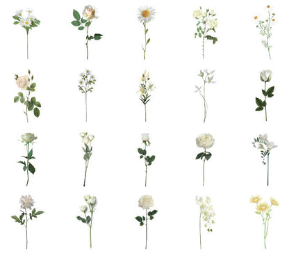 Natural Museum PET Stickers Set