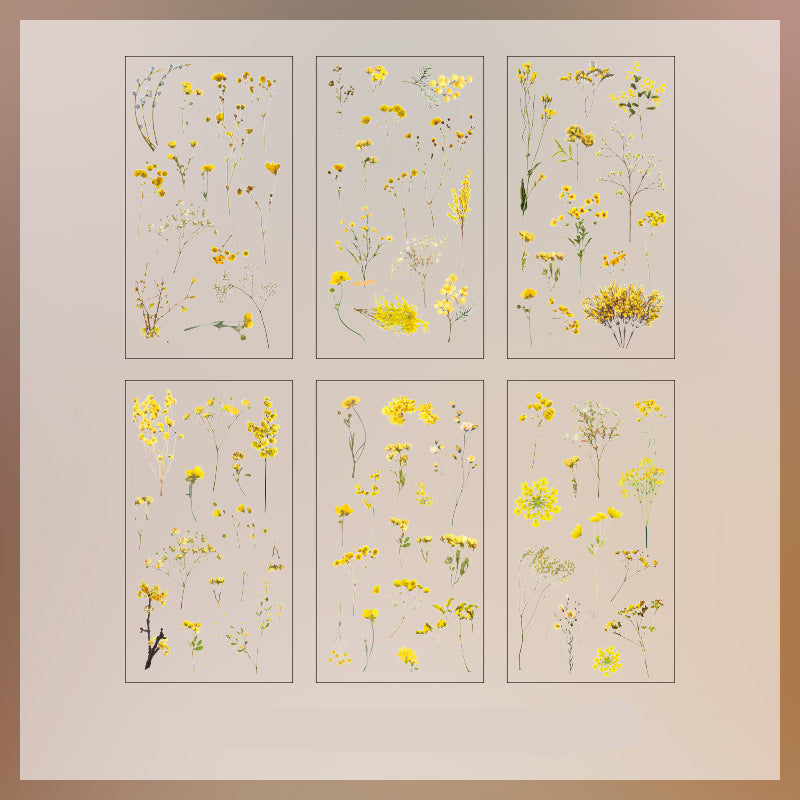 Natural Books PET Sticker Set