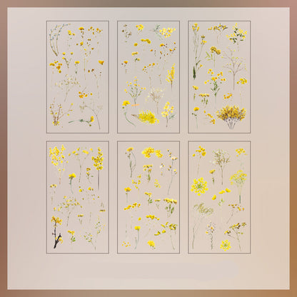 Natural Books PET Stickers Set