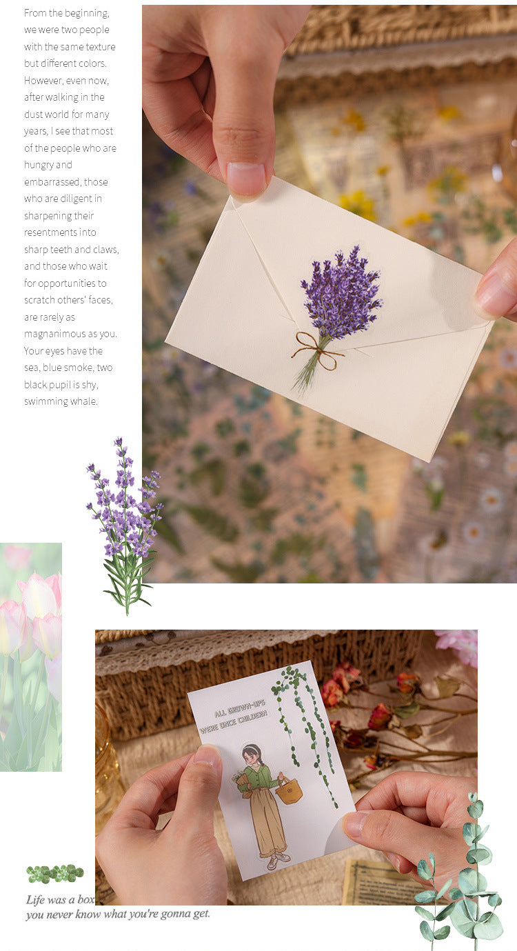Natural Books PET Sticker Set