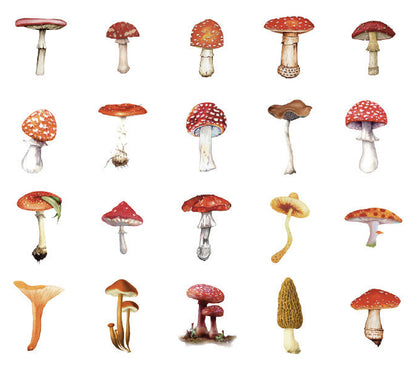 Natural Museum PET Stickers Set