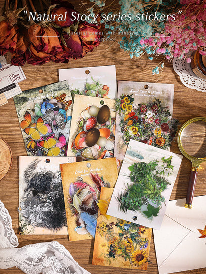 Natural Story Series Stickers Set