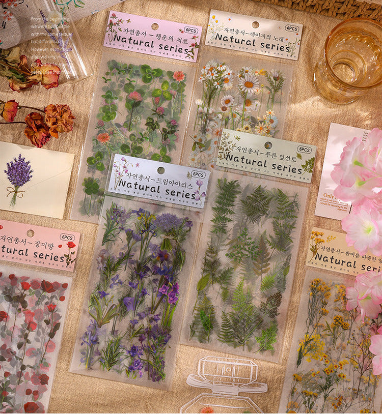 Natural Books PET Sticker Set