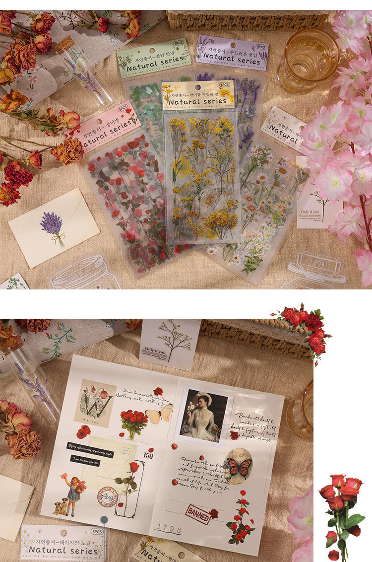 Natural Books PET Sticker Set
