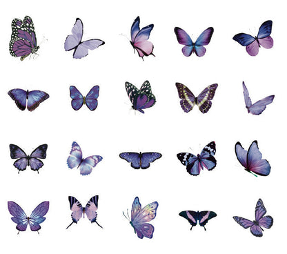 Natural Museum PET Stickers Set