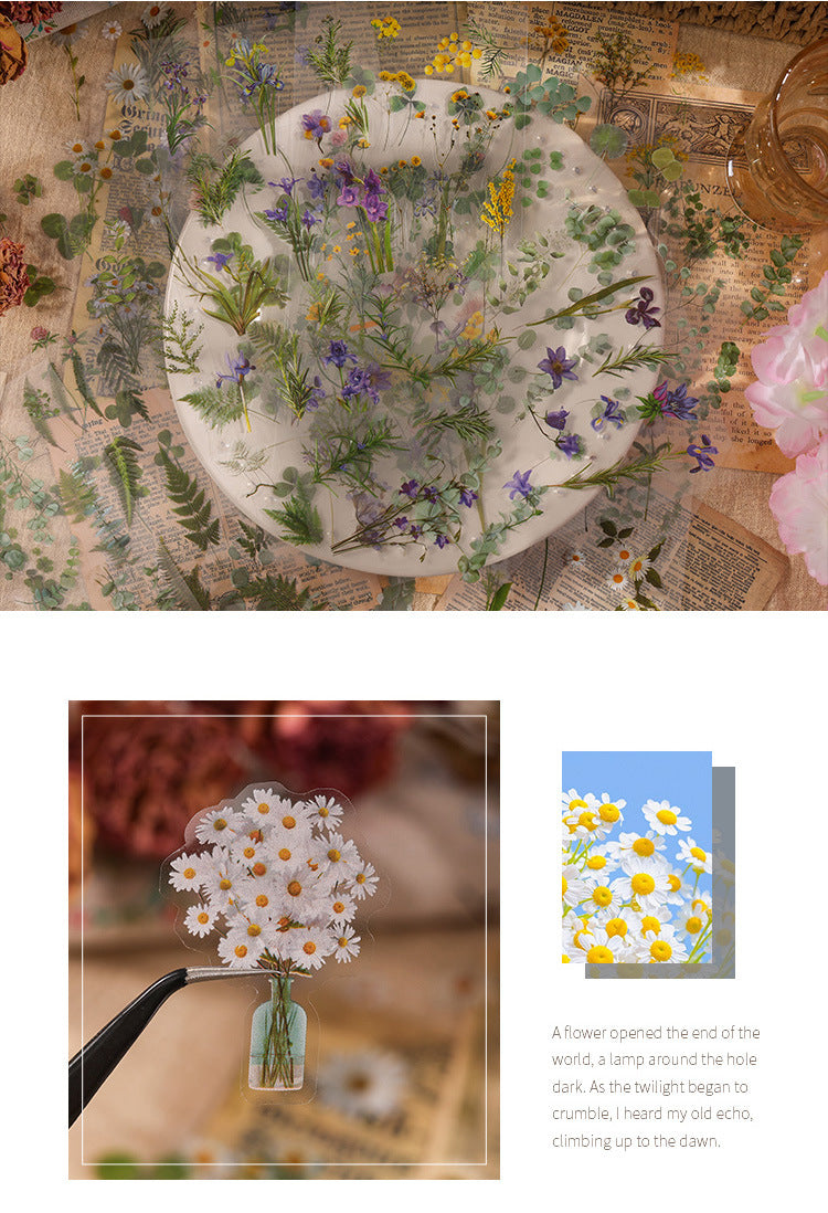 Natural Books PET Sticker Set