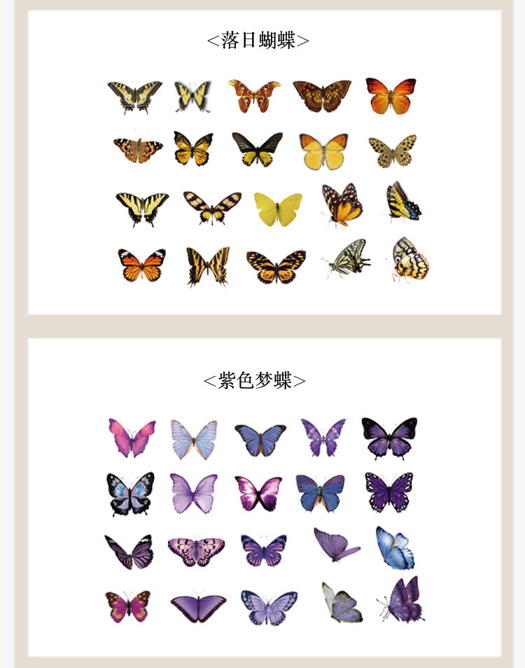 The World of Butterfly PET Sticker Set