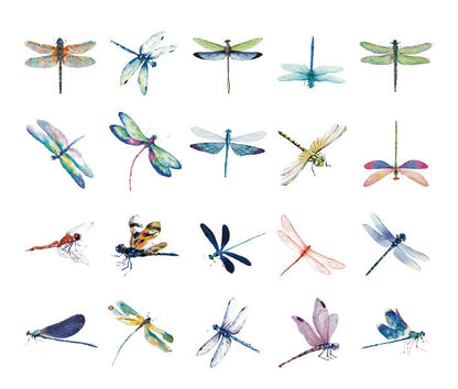 Natural Museum PET Stickers Set