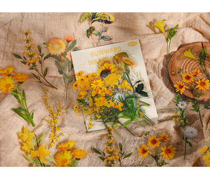 Natural Museum PET Stickers Set