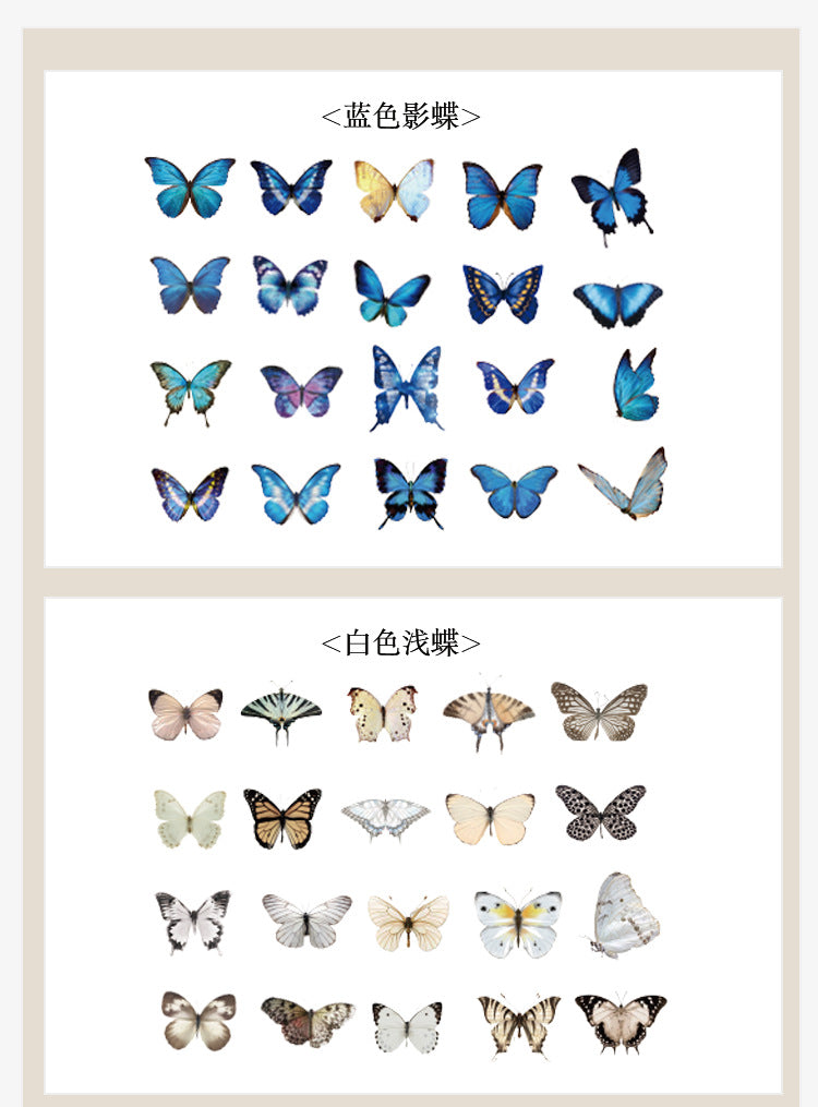 The World of Butterfly PET Sticker Set
