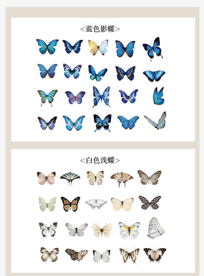 The World of Butterfly Stickers Set