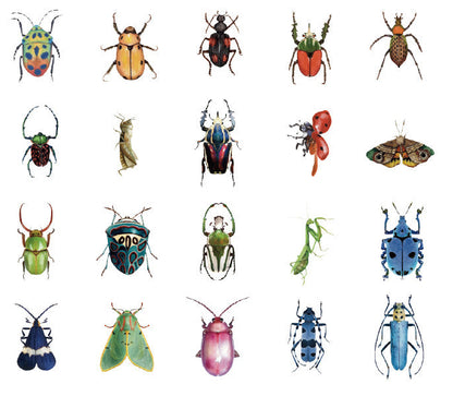 Natural Museum PET Stickers Set