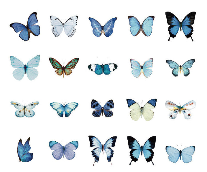 Natural Museum PET Sticker Set