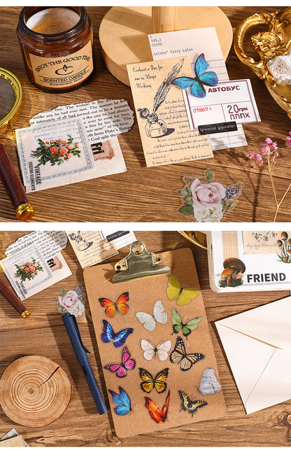 Natural Story Series Stickers Set