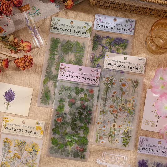 Natural Books PET Sticker Set
