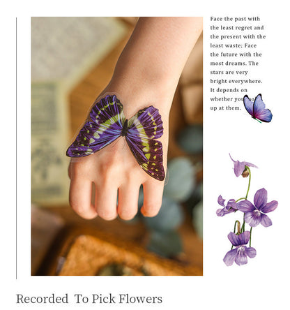 Natural Museum PET Stickers Set