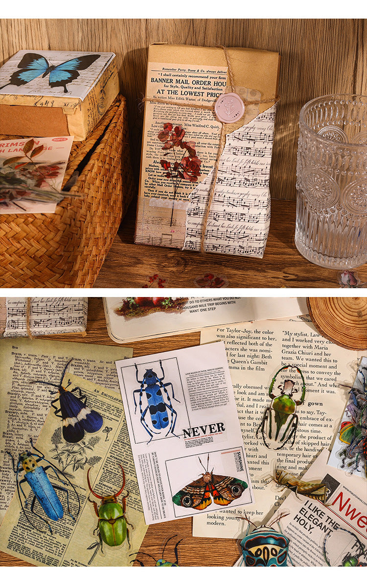 Natural Museum PET Sticker Set