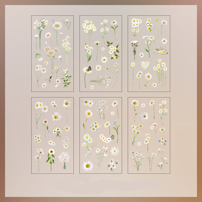 Natural Books PET Stickers Set