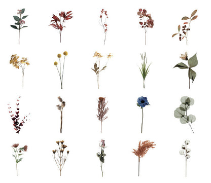 Natural Museum PET Stickers Set