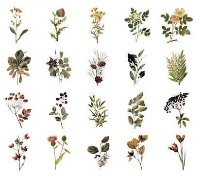 Natural Museum PET Stickers Set