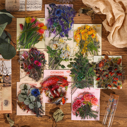 Natural Museum PET Stickers Set