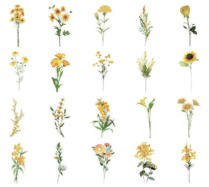 Natural Museum PET Stickers Set