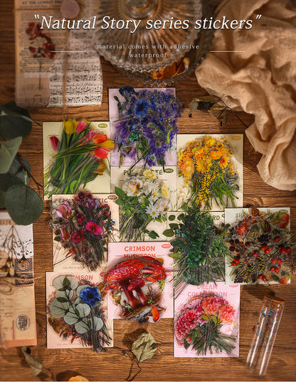 Natural Museum PET Stickers Set