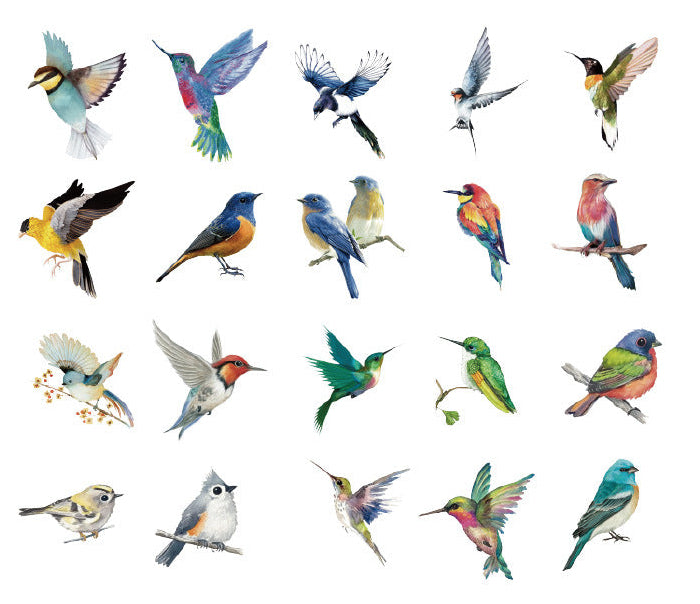 Natural Museum PET Sticker Set