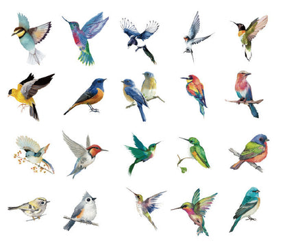 Natural Museum PET Stickers Set