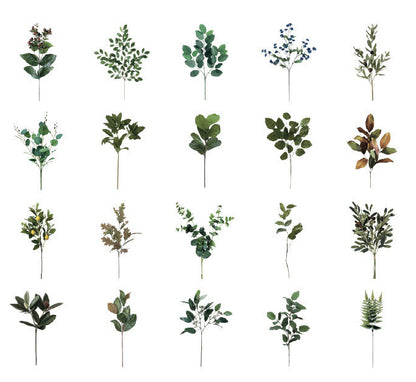 Natural Museum PET Stickers Set