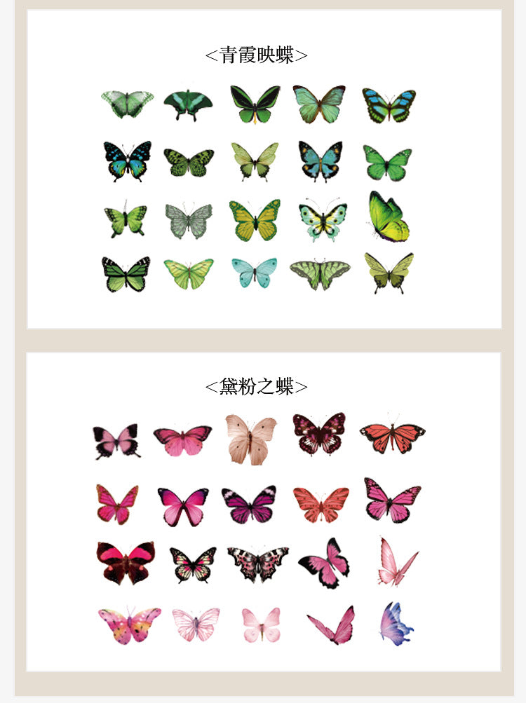 The World of Butterfly PET Sticker Set