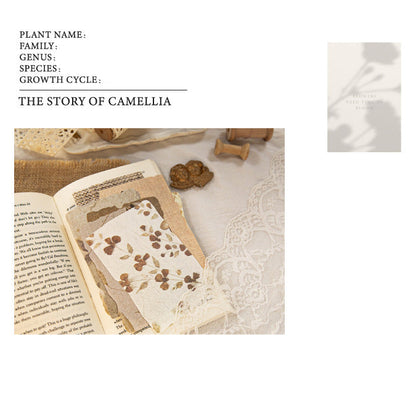 Light and Shadow Scrapbooking Paper