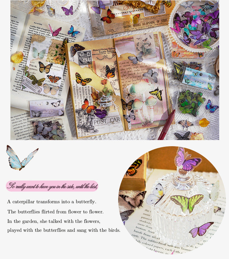 The World of Butterfly PET Sticker Set