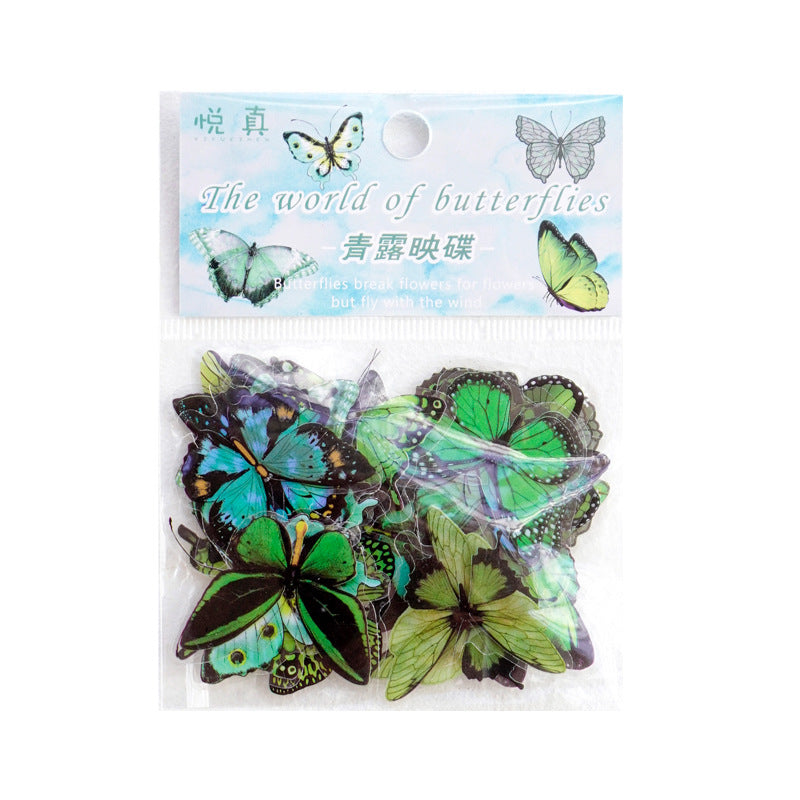 The World of Butterfly PET Sticker Set
