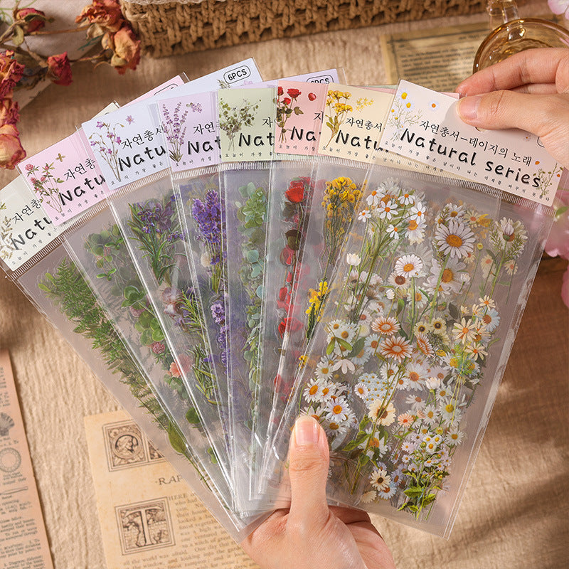 Natural Books PET Sticker Set