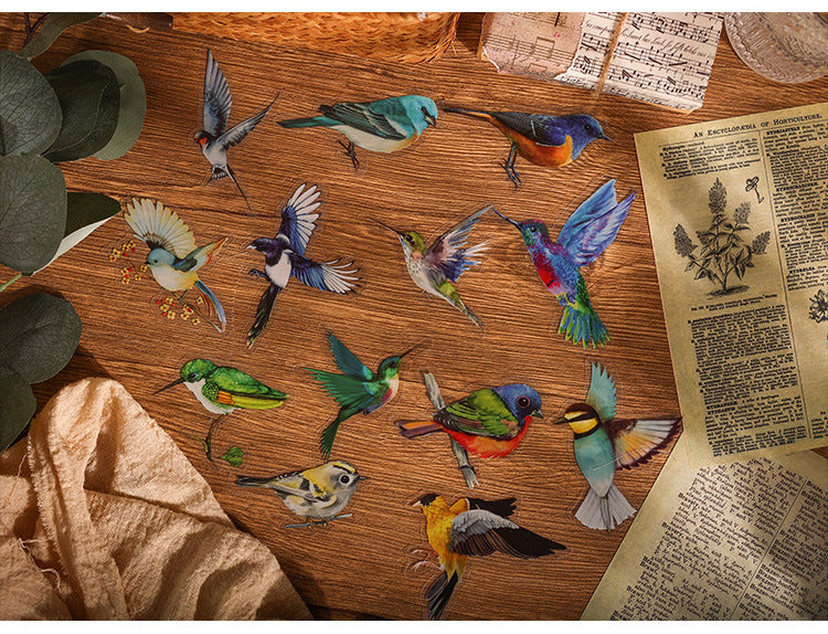 Natural Museum PET Sticker Set