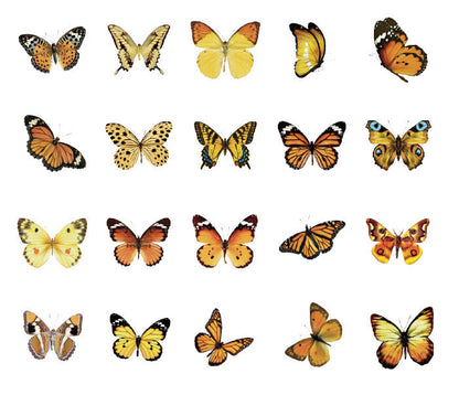 Natural Museum PET Stickers Set